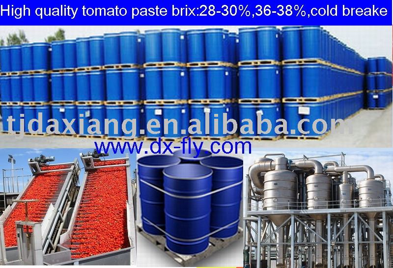tomato paste (2009 crop high quality tomato paste brix:28-30%,36-38%,cold brake, in drum)
