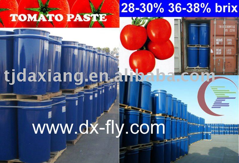 Tomato paste 36-38% 28-30%  brix packing in steel drum CB