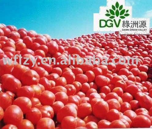 whole sale quantity  36 - 38brix   tomato   paste 