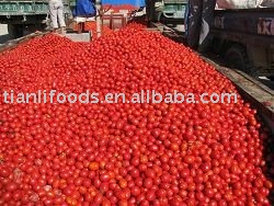 36/38brix tomato paste