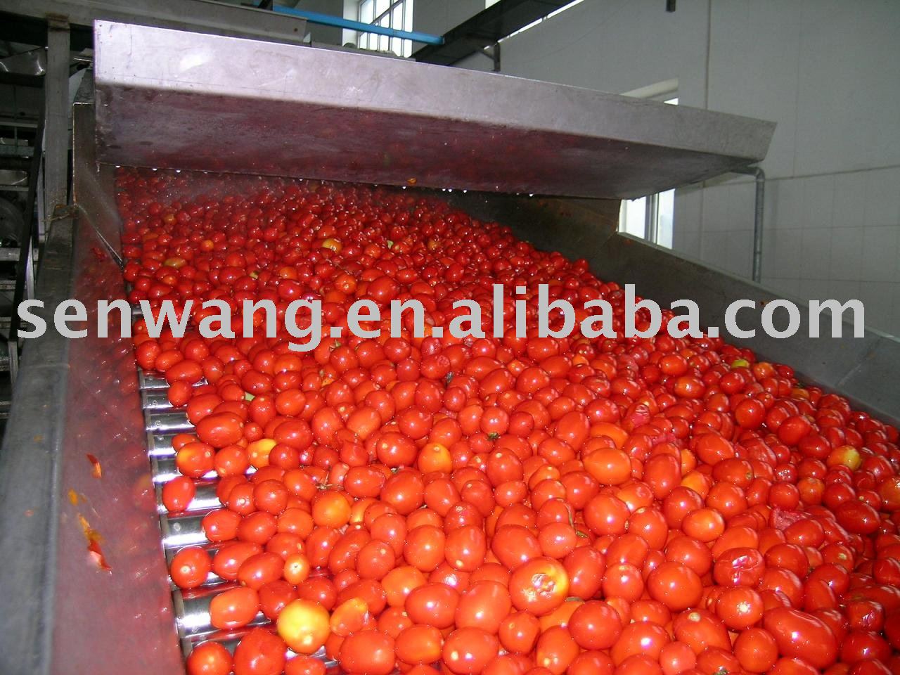 2010Crop 36-38%Brix Tomato Paste In Drum(Haccp/Iso/Kosher)