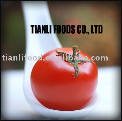 220L   Aseptic  Bag Tomato Paste in Drum