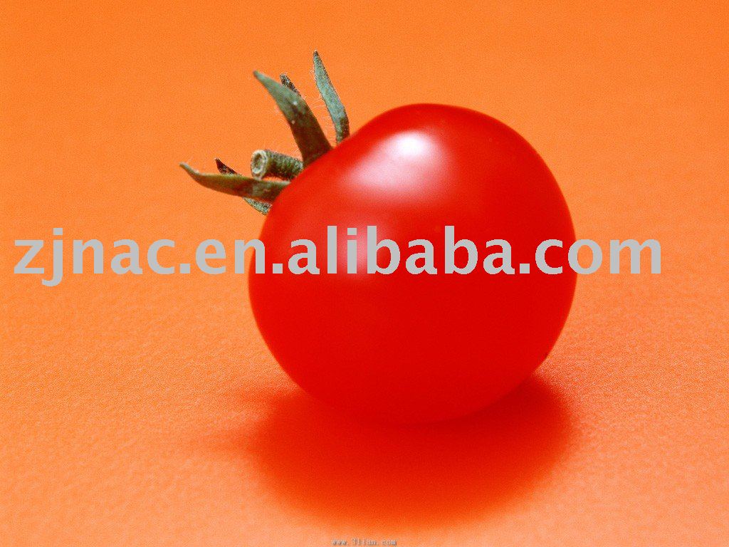 Canned Tomato Paste
