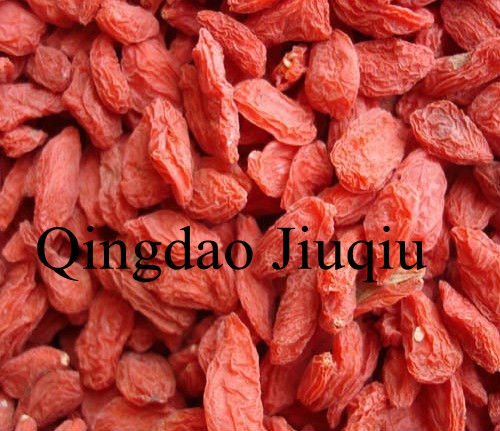 ningxia fresh wolfberry
