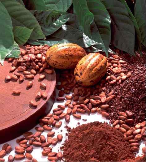 ALKALINE COCOA POWDER