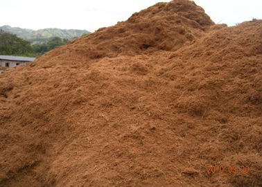 Cocoa powder and Others Ready For Exports