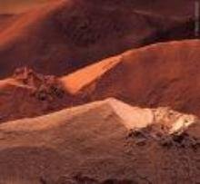 Cocoa Powder