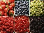  Fresh  Berries (black berry ,blue berry ,cran berry ,hucke berry  and others)