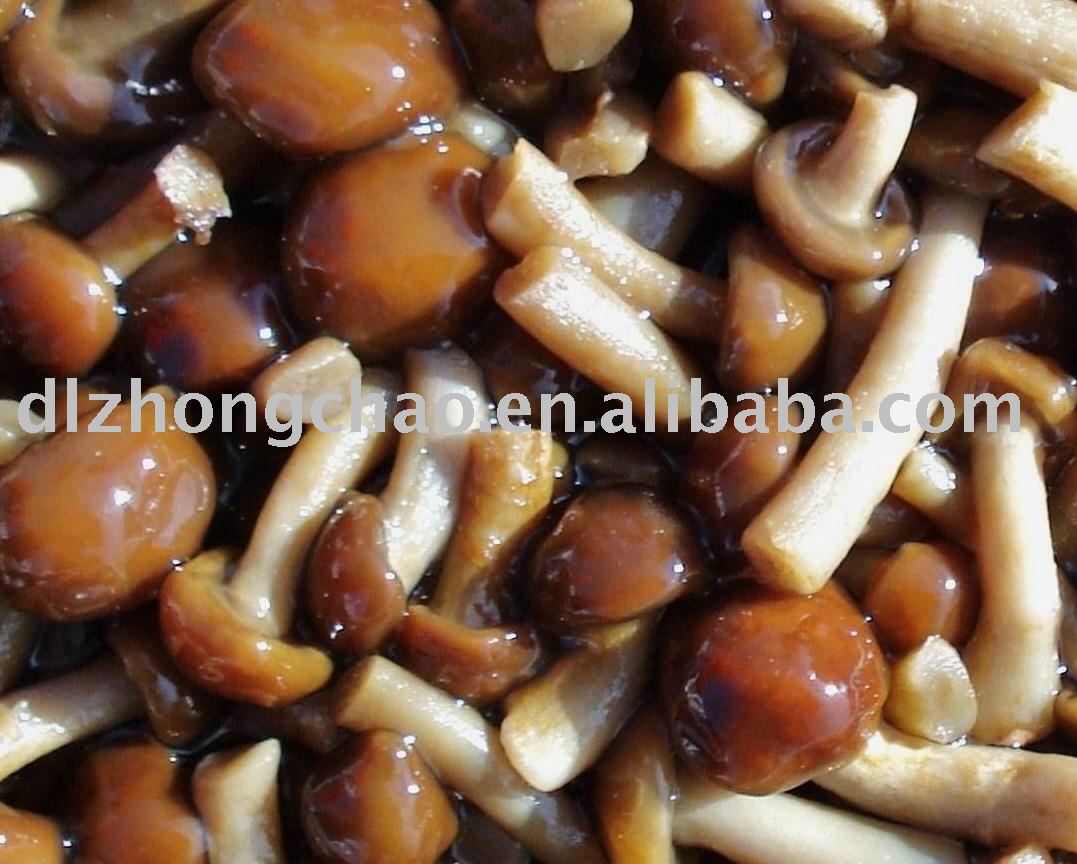 Salted Nameko - Agaricus ( Pholiota Nameko )
