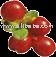 SPECIFICATION CR IQF   IQF   Cranberry  (Vaccinium Oxycoccus)