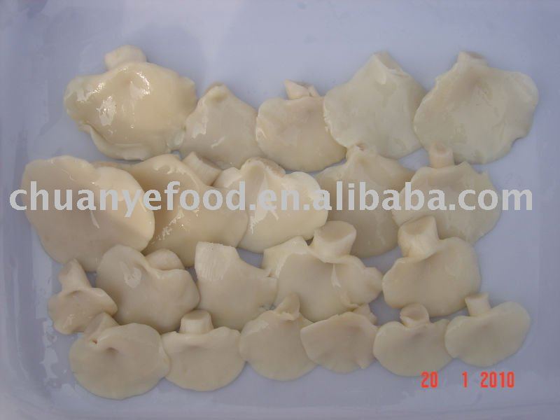 oyster mushroom in brine