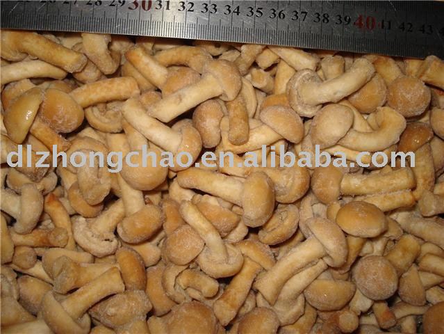 Nameko in salt ( Pholiota Nameko )