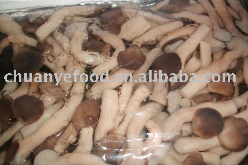 high quality  shimeji  mushroom in  brine 