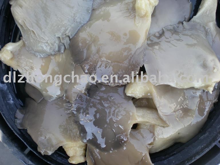 Salted Oyster mushroom
