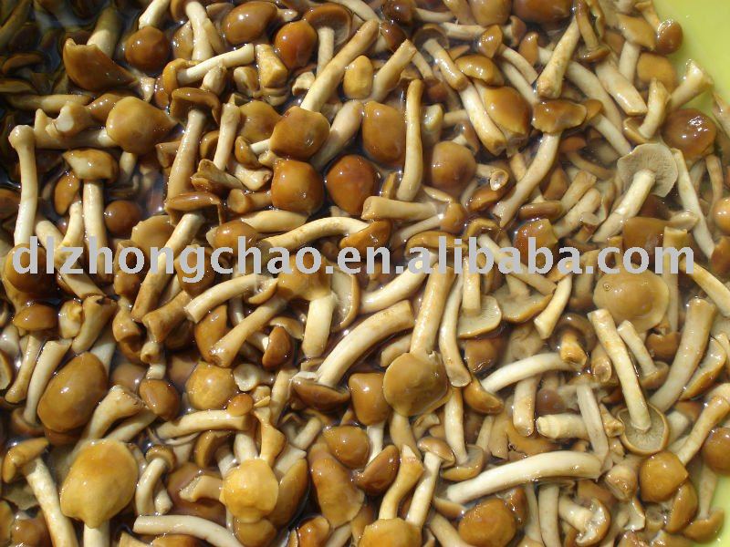 Nameko