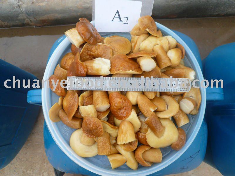 brined boletus edulis mushroom