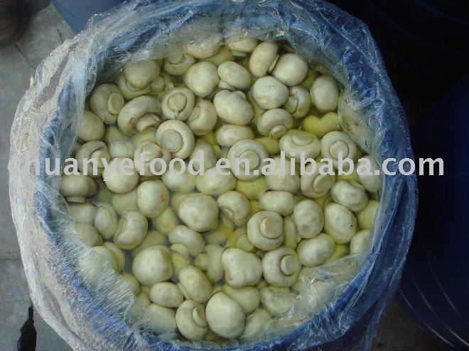  white   mushroom  in  brine 