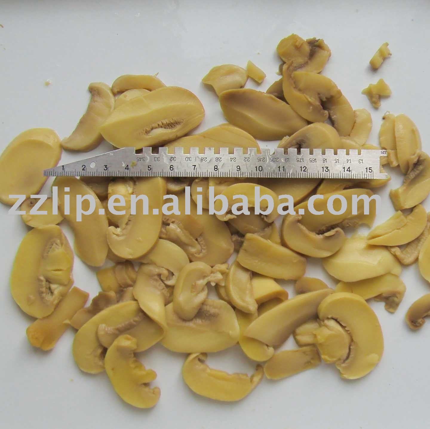 brine mushroom in drums (grade FLT slice 20-50mm)