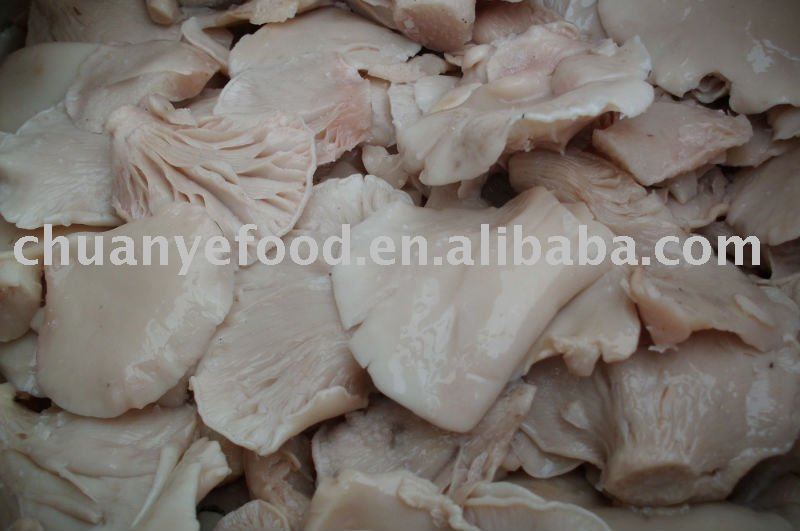 High Quality Brine Oyster mushroom
