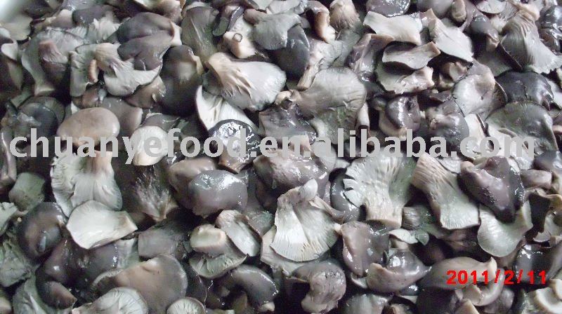 Brine grey oyster mushroom in drum(50KG/drum)