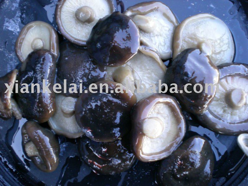  shiitake   mushroom  in  brine 