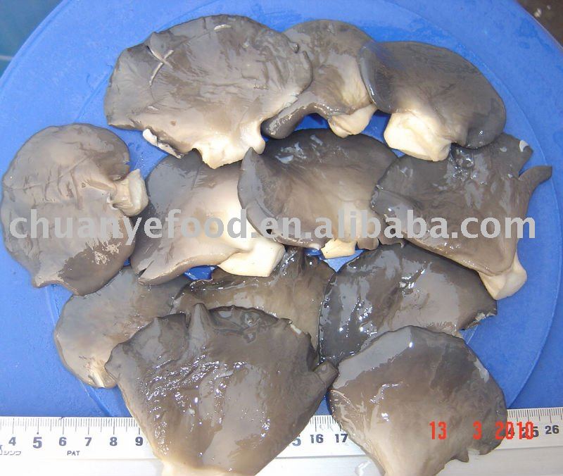 whole brine grey oyster mushroom in drums