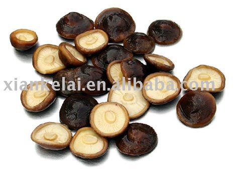 Brined shiitake mushroom in drum