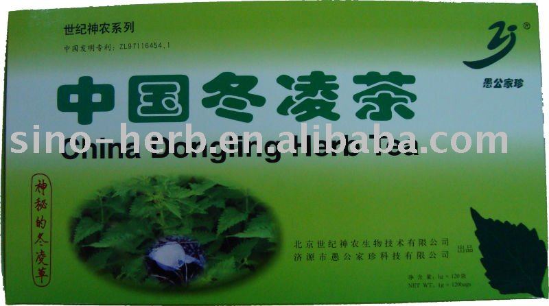CURING SORE THROAT-----HERBAL TEA-----from Rabdosia rubescens