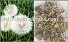 Organic  Dandelion   root 