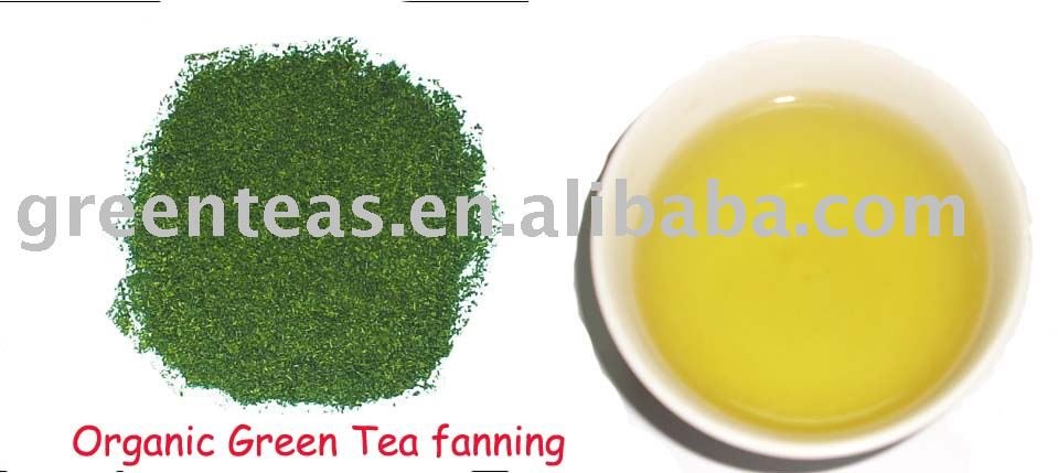 Organic tea fanning/ China green tea/ Green tea fanning