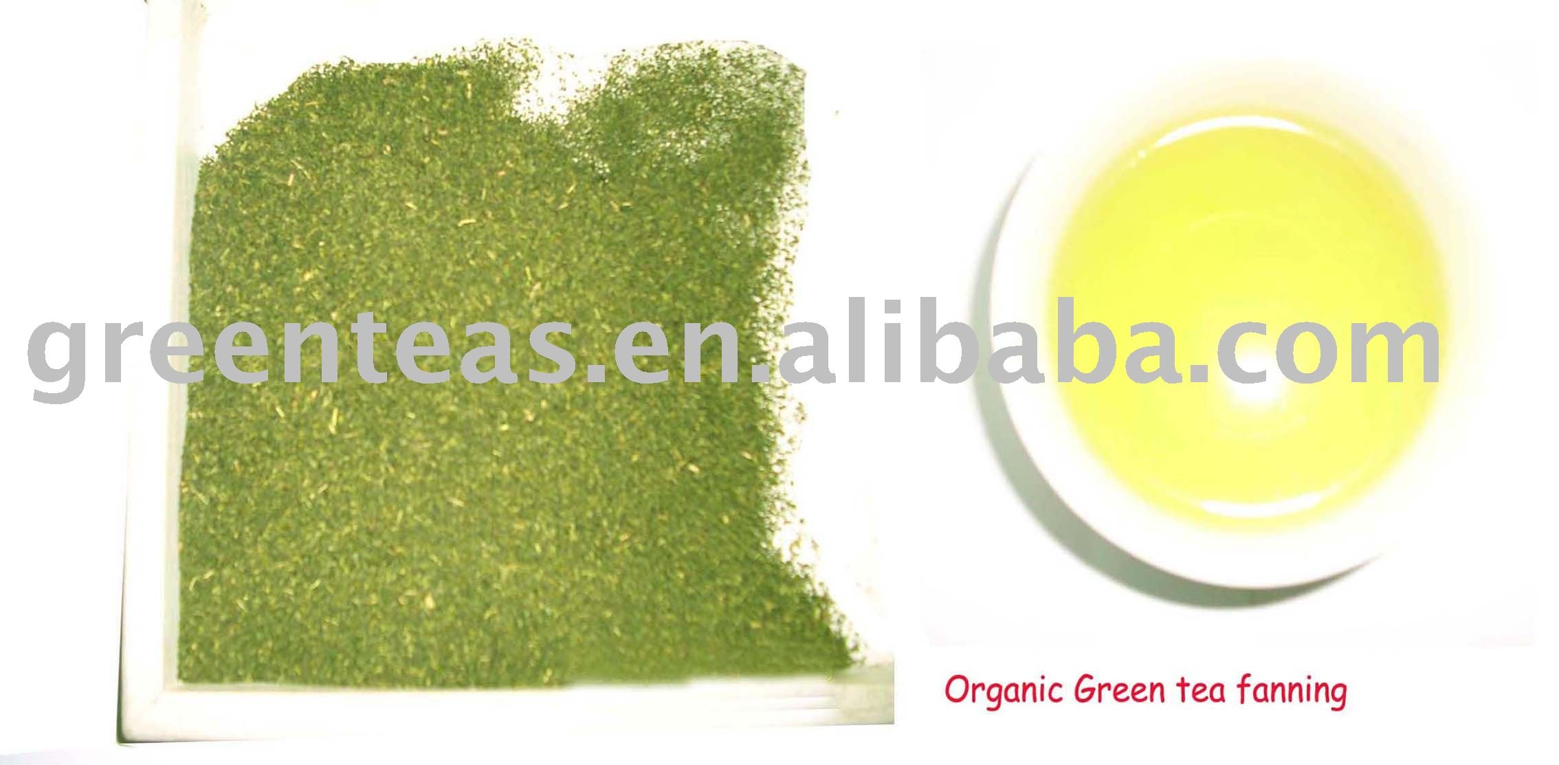 Green tea fanning/China green tea/ Tea fanning/ Green tea