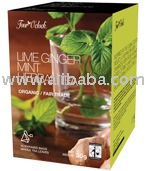 Lime Ginger Mint Organic Herbal Tea in pyramidal teabags