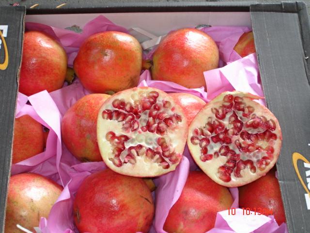 Pomegranate