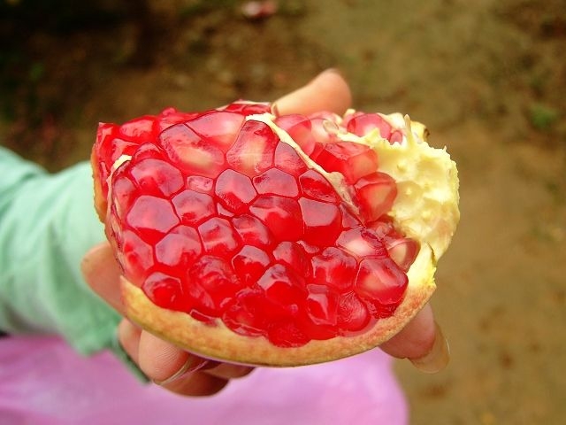 Pomegranate