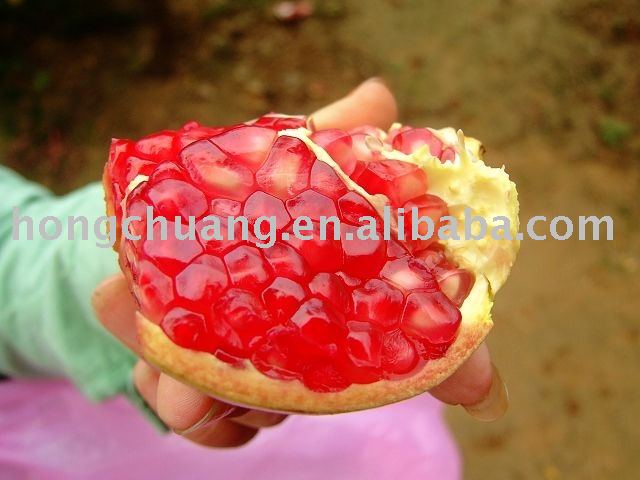 Huaiyuan  pomegranate 