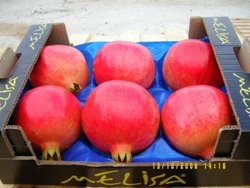 Pomegranate