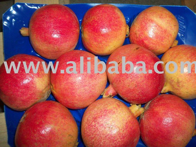 Pomegranate