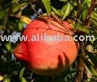 Pomegranates