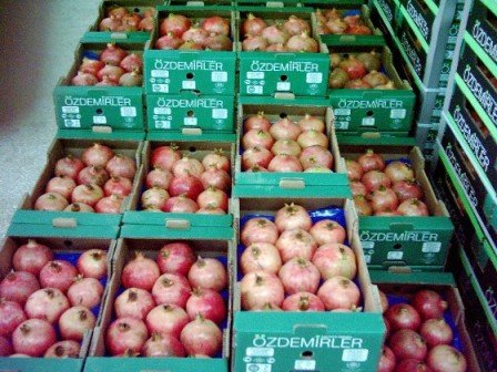 Fresh Pomegranate From Turkey