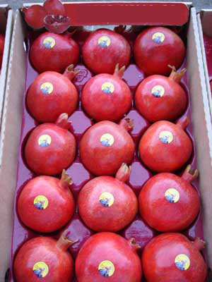  Pomegranate 