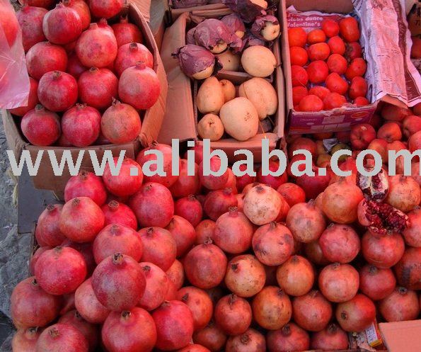  FRESH   RED   POMEGRANATE  FOR SELL
