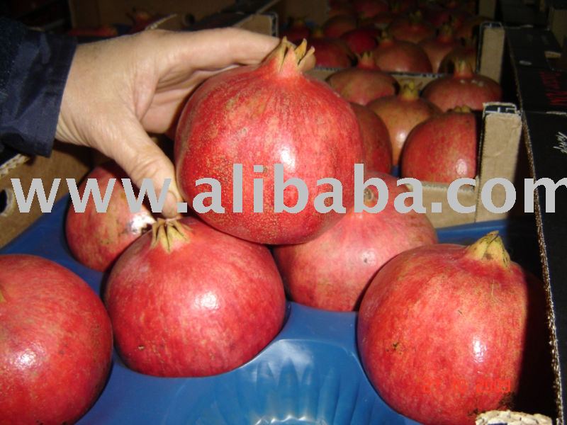 "Hejaz (Hicaz) Pomegranate"