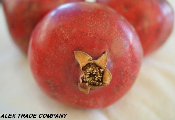 POMEGRANATE sweet   fresh