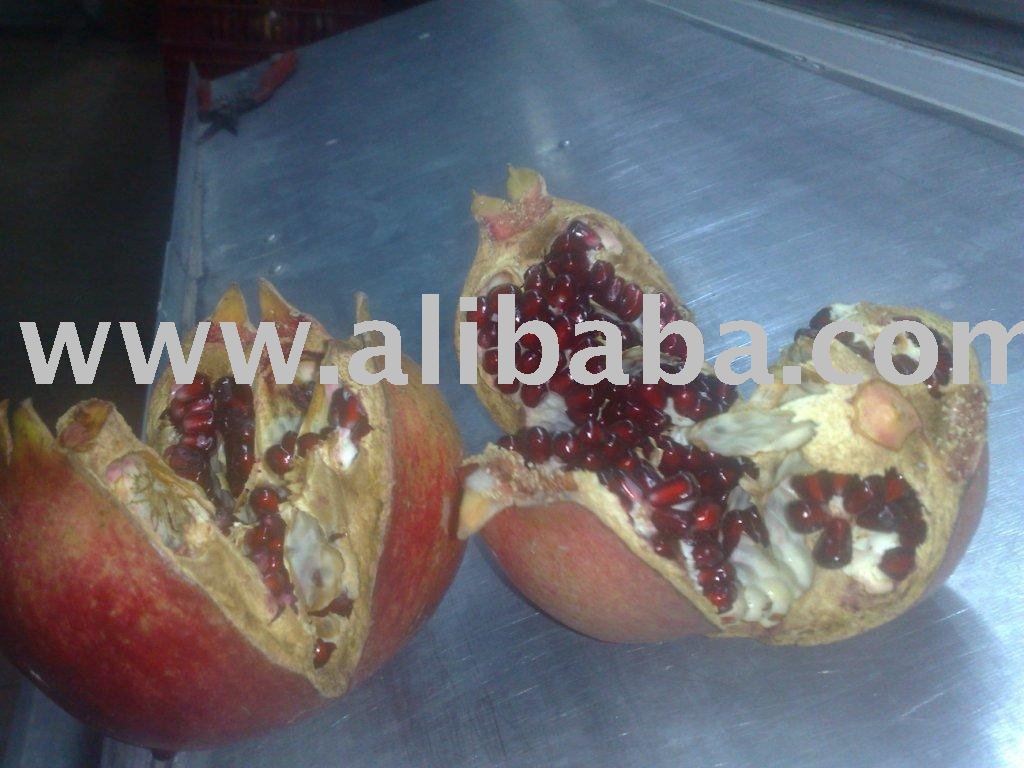 Hicaz Pomegranates