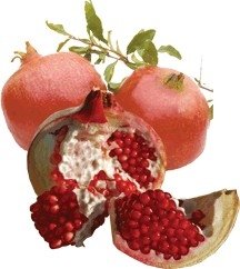 POMEGRANATE
