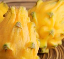 Dragon Fruit