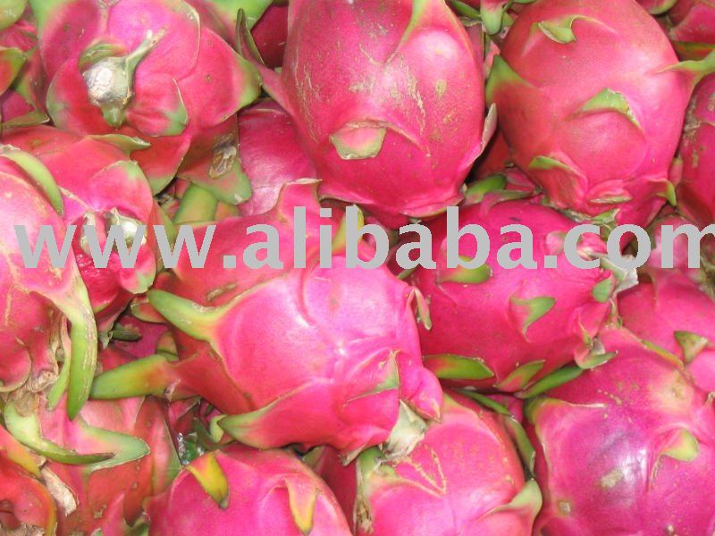Dragon Fruits