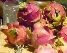 Fresh Dragon Fruit