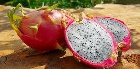 Fresh Dragon Fruit
