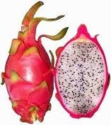 Fresh Dragon Fruit